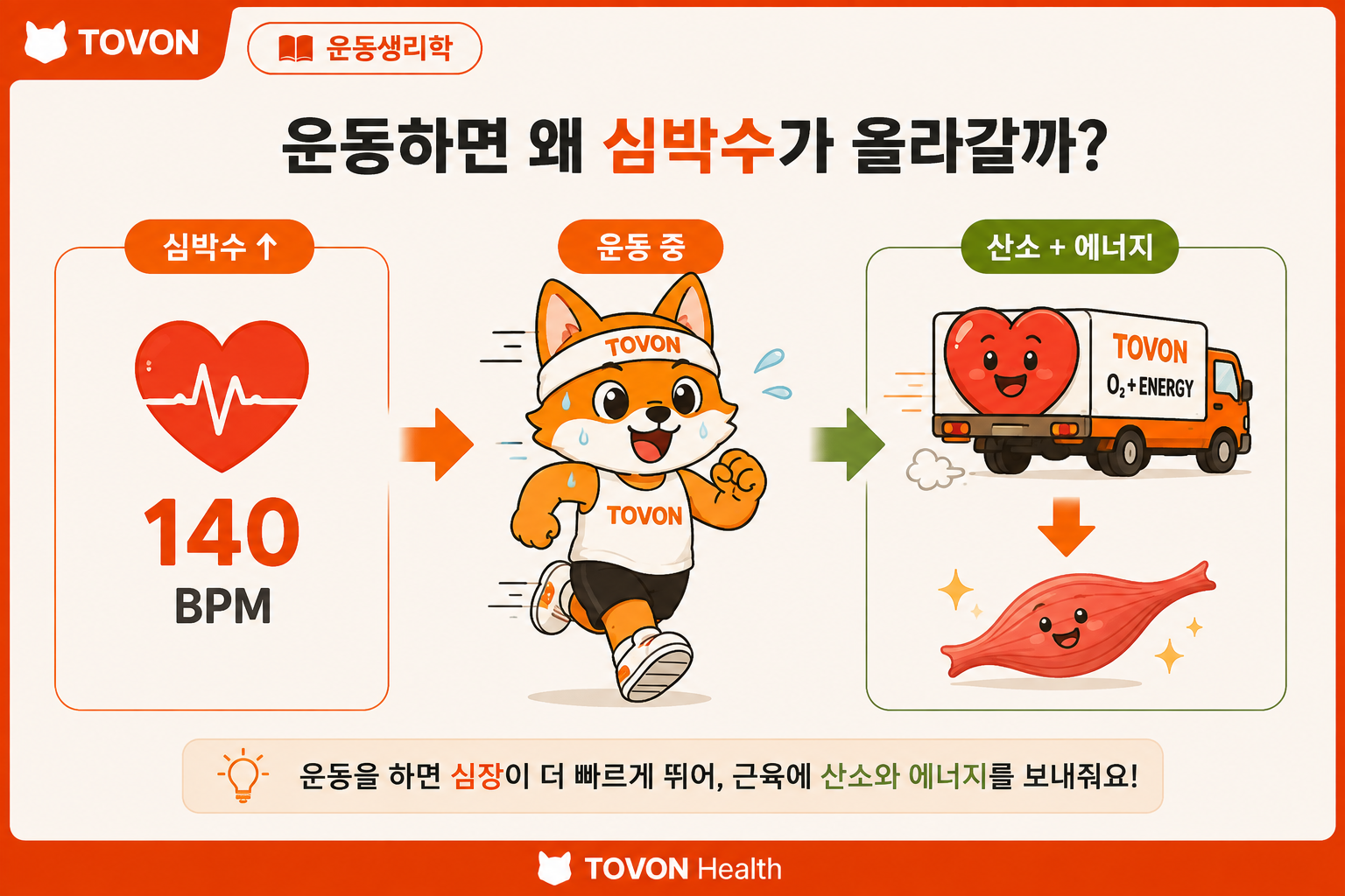 운동하면 심박수가 왜 올라갈까