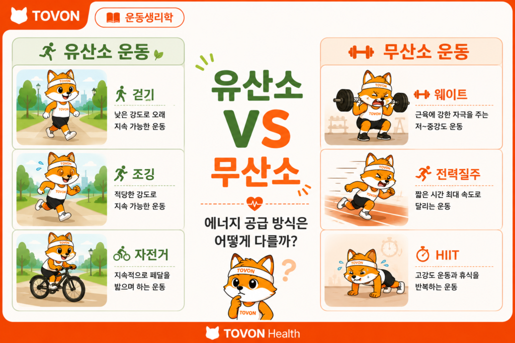 유산소 운동과 무산소 운동의 차이를 비교한 인포그래픽