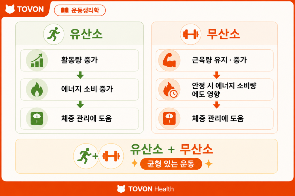 유산소 운동과 무산소 운동을 함께 활용한 체중 관리 방법
