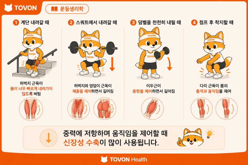 신장성 수축이란? 근육통이 생기는 이유와 근육 성장의 관계 계단을 내려가거나 물건을 내릴 때 나타나는 신장성 수축 예시