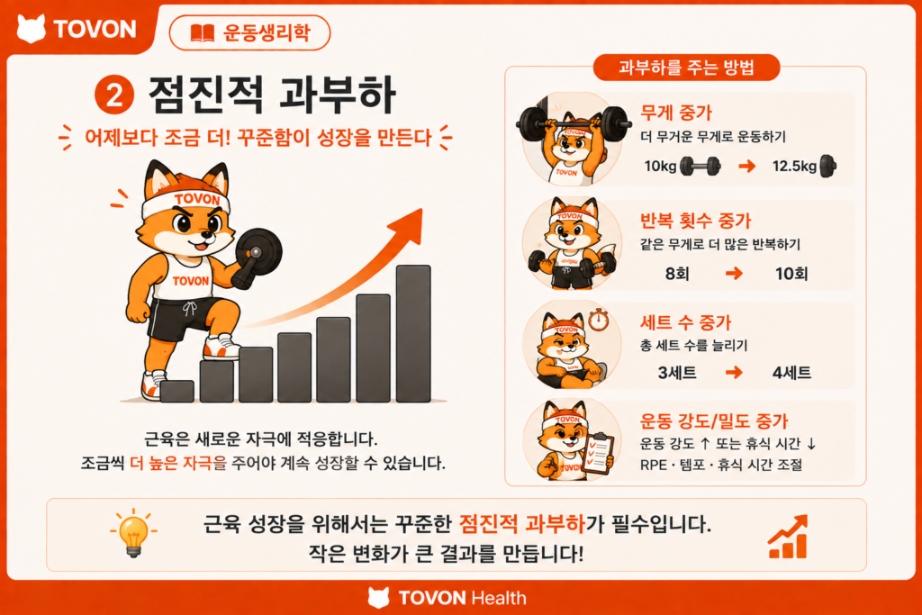 근비대를 위한 점진적 과부하