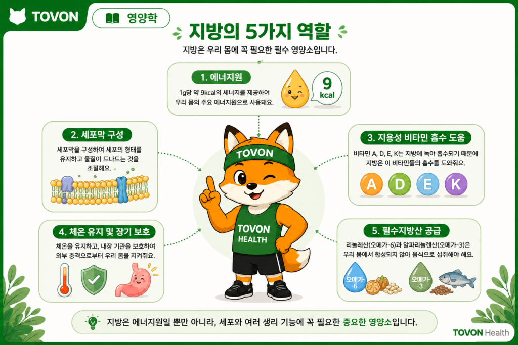 지방은 무조건 나쁠까? 좋은 지방과 나쁜 지방 이해하기 지방의 에너지 공급과 세포막 구성 및 지용성 비타민 흡수 역할