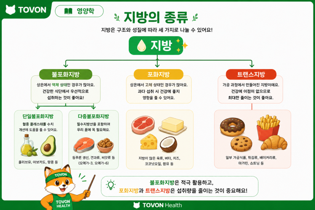 지방은 무조건 나쁠까? 좋은 지방과 나쁜 지방 이해하기 불포화지방과 포화지방 및 트랜스지방의 종류와 특징