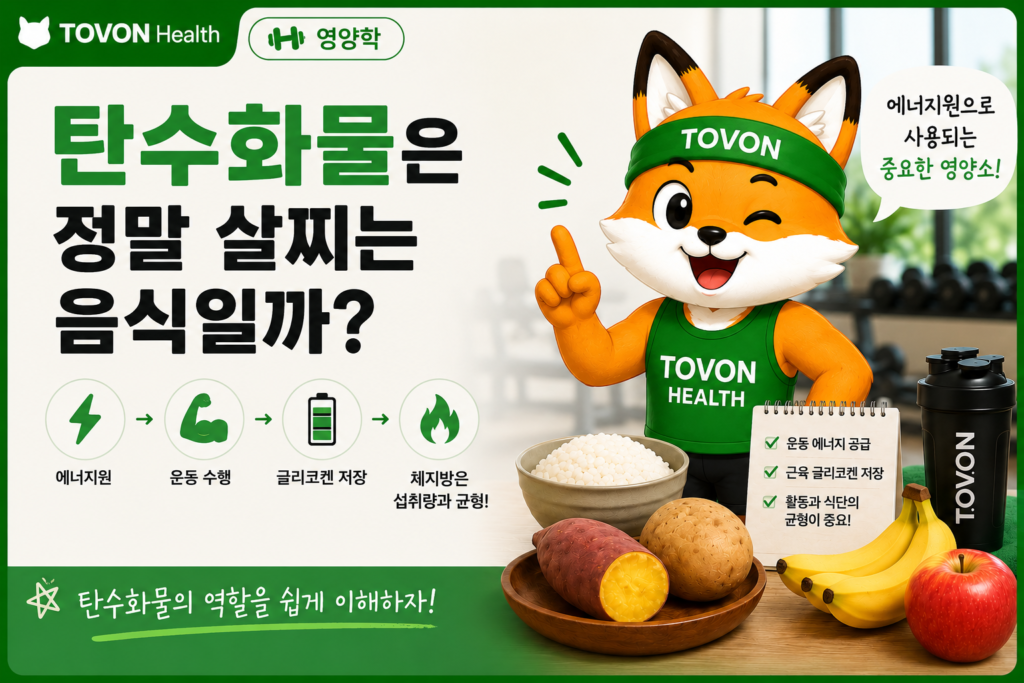 탄수화물은 정말 살찌는 음식일까? 탄수화물의 역할