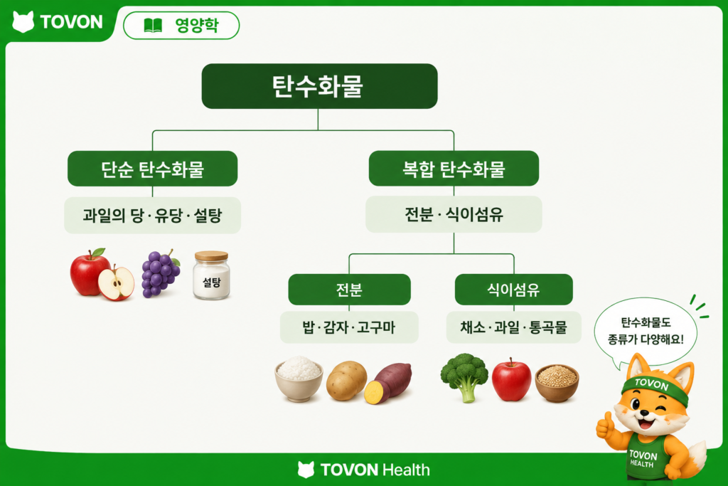 탄수화물 종류