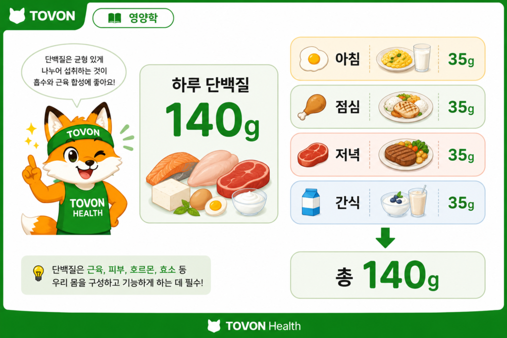 탄수화물 섭취량은 얼마나? 운동하는 사람의 단백질·지방 섭취량까지 하루 단백질 섭취량을 여러 끼니로 나누어 먹는 예시