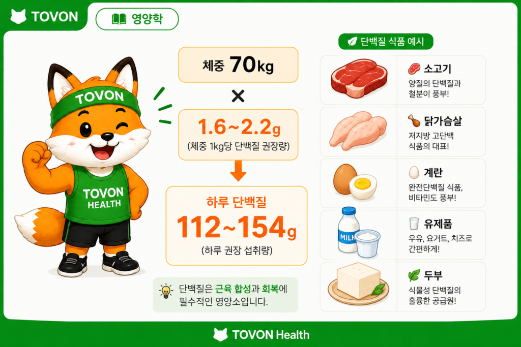 탄수화물 섭취량은 얼마나? 운동하는 사람의 단백질·지방 섭취량까지 체중에 따른 하루 단백질 섭취량 계산 예시