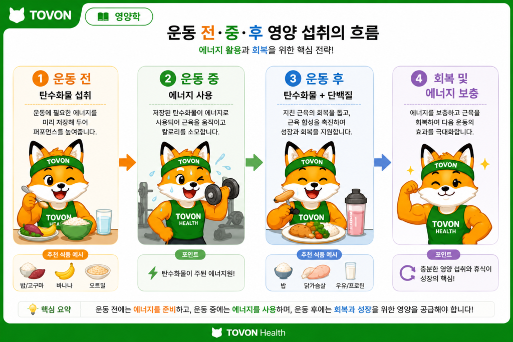 탄수화물 섭취량은 얼마나? 운동하는 사람의 단백질·지방 섭취량까지 운동 전후 탄수화물과 단백질 섭취의 중요성