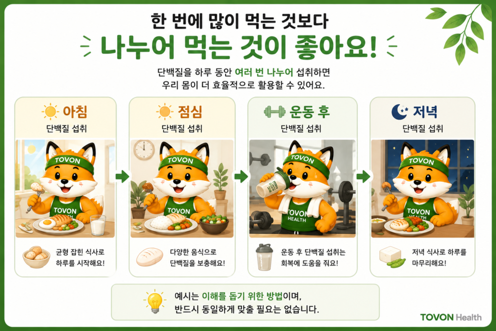 하루 단백질 섭취량을 여러 끼니에 나누어 먹는 예시