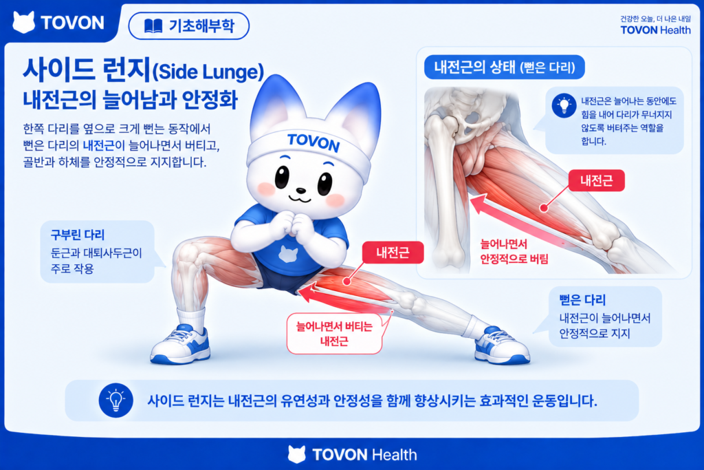 사이드 런지에서 늘어나며 힘을 내는 내전근