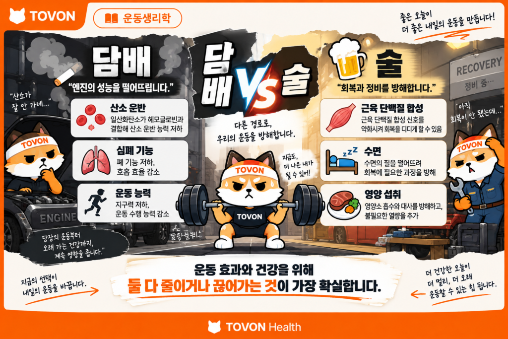 담배와 술이 운동 능력과 회복에 미치는 영향을 한눈에 정리한 이미지