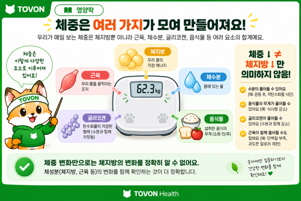 체중과 체지방이 체수분과 근육 등 여러 요소의 영향을 받는 것을 보여주는 이미지