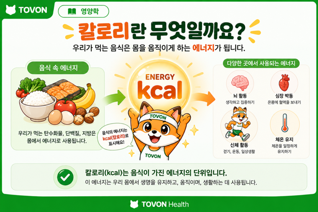칼로리를 에너지의 양을 기록하는 가계부 단위로 표현한 이미지