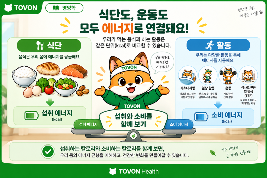 식단과 운동을 함께 고려하는 칼로리 관리