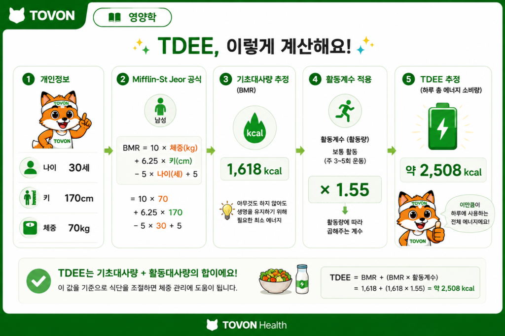 기초대사량과 활동대사량이란? 하루에 필요한 칼로리 계산하기 Mifflin-St Jeor 공식과 활동계수를 이용해 하루 총 에너지 소비량을 계산하는 과정