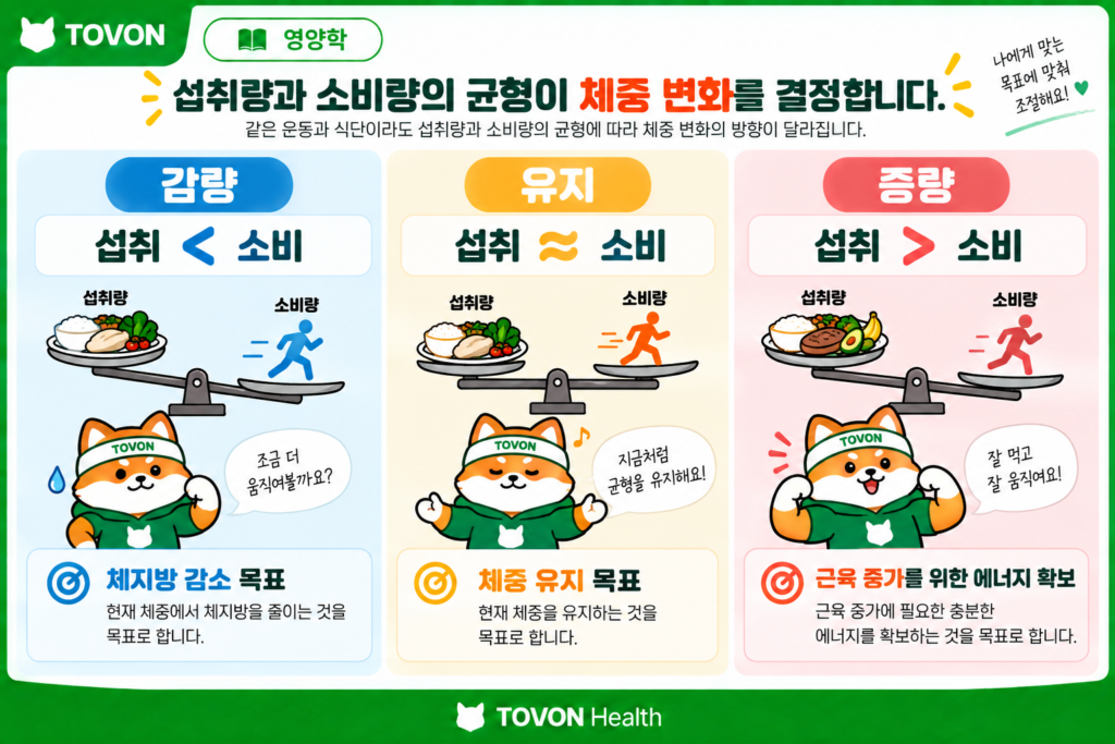 감량 유지 증량에 따른 칼로리 섭취와 소비의 관계를 비교한 이미지