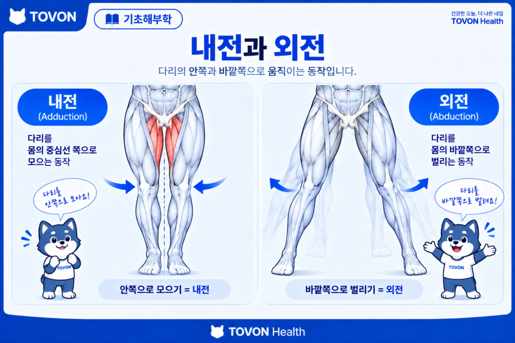 내전과 외전의 차이를 보여주는 다리 움직임