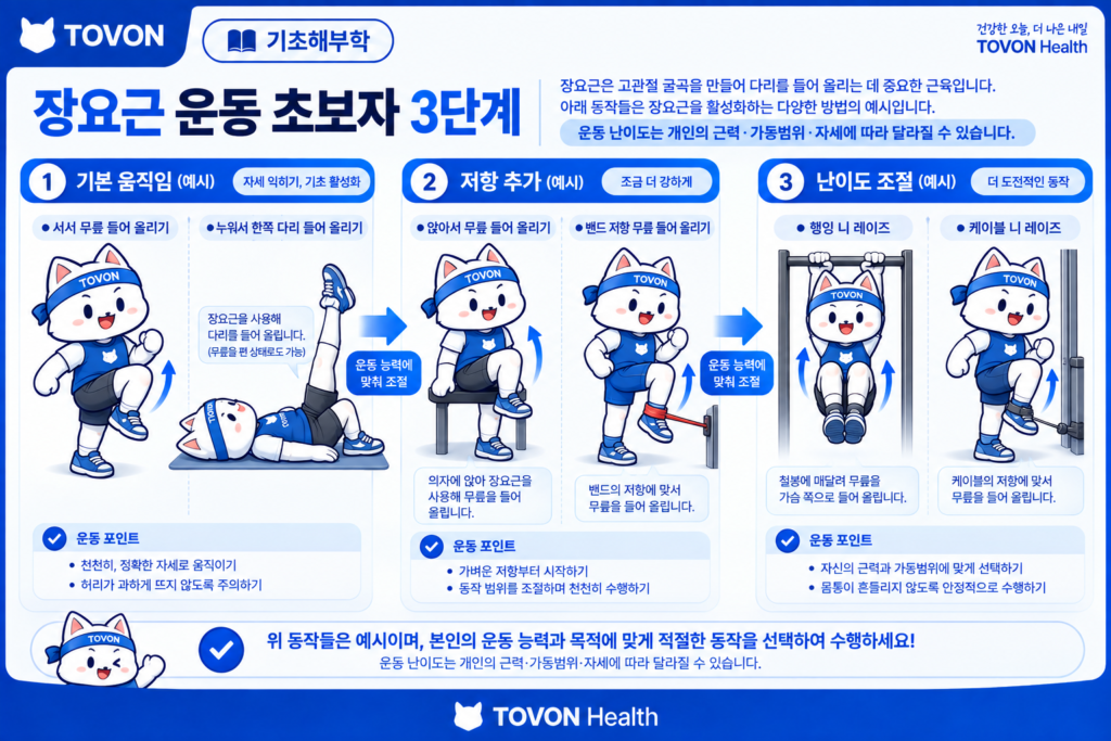 초보자를 위한 장요근 관련 고관절 굴곡 운동 단계