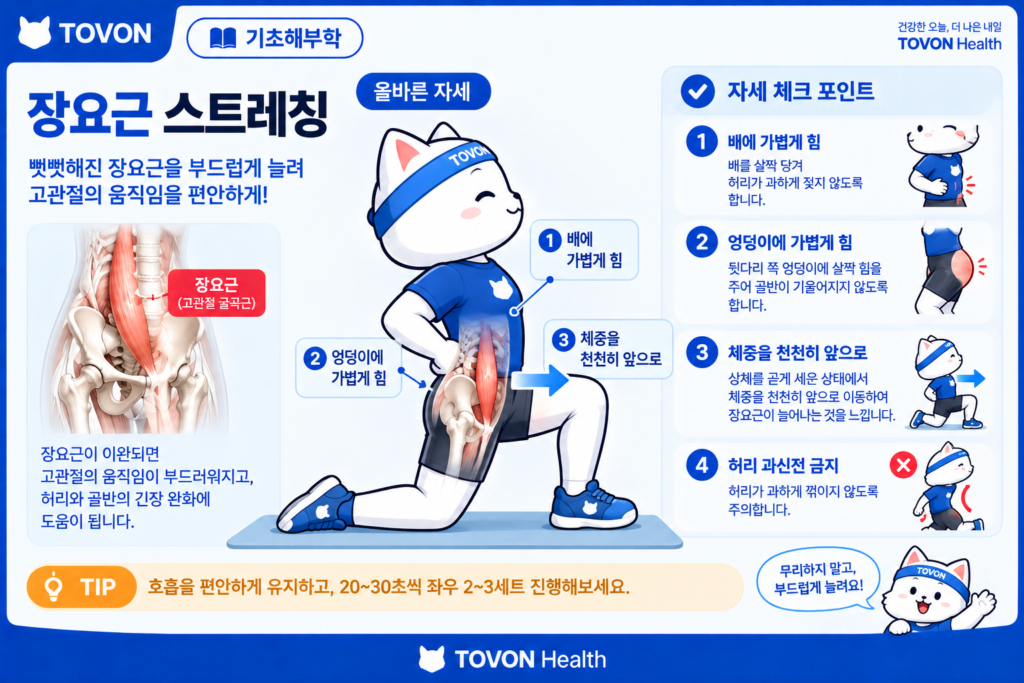 반무릎 자세에서 고관절 앞쪽을 스트레칭하는 모습