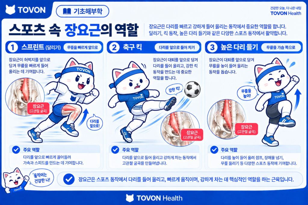 달리기와 킥 동작에서 고관절 굴곡근이 사용되는 모습