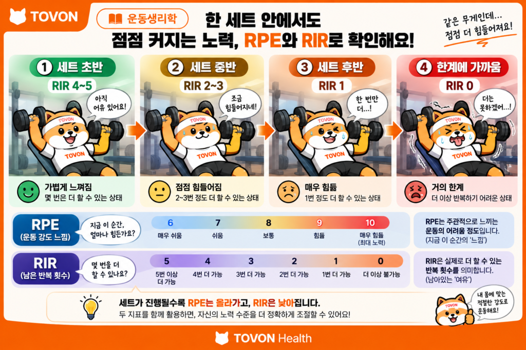 운동하면 근육이 지치는 이유? 근육 피로의 원리 RPE와 RIR을 활용해 근육 피로와 운동 강도를 조절하는 토번이