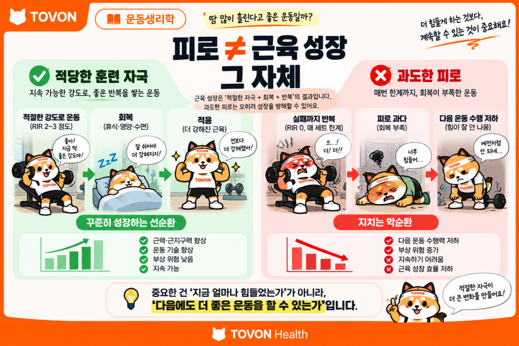 운동하면 근육이 지치는 이유? 근육 피로의 원리 근육 피로와 훈련 자극 및 근육 성장의 관계를 보여주는 토번이