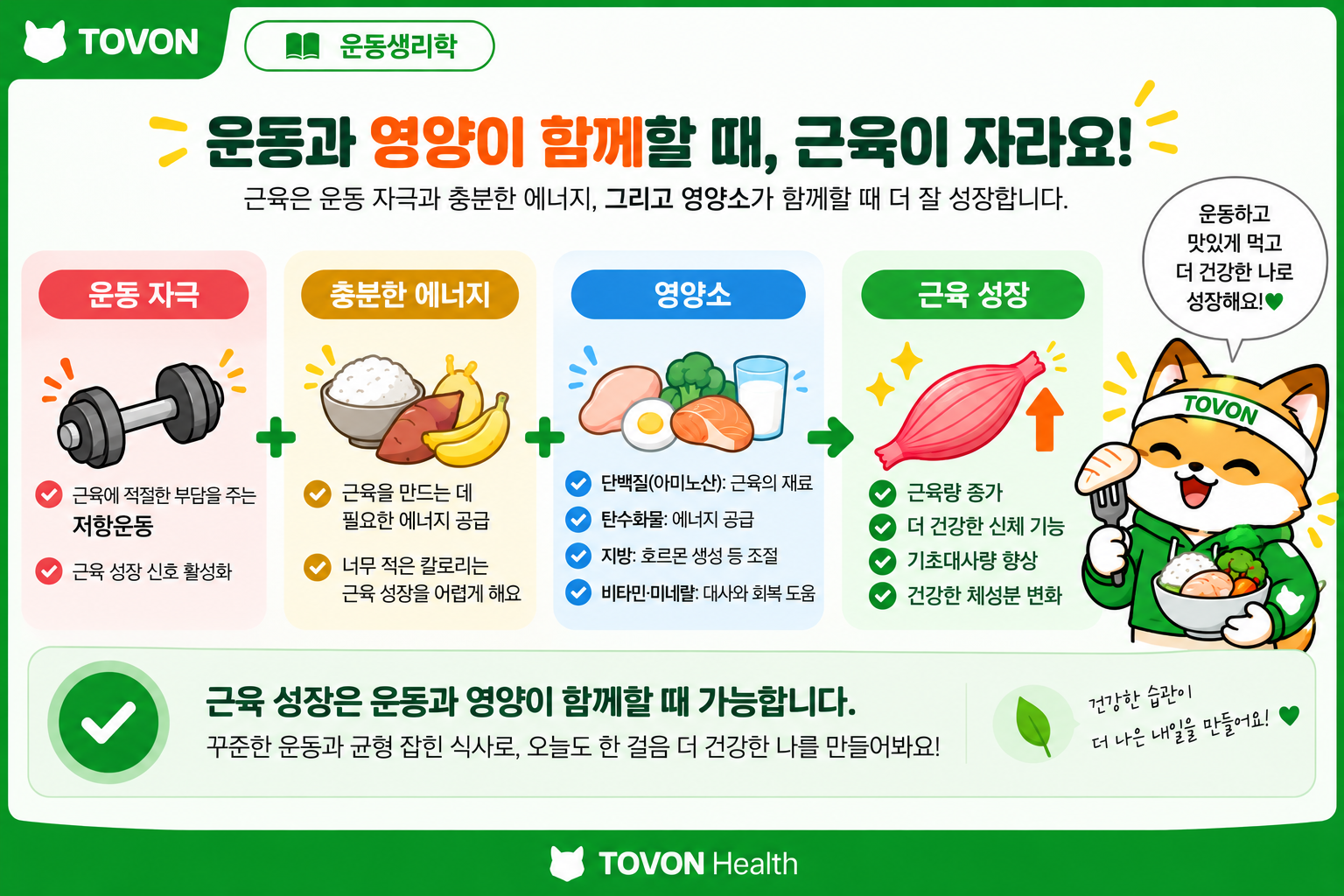 근육 증가와 칼로리 섭취의 관계를 보여주는 운동생리학 토번이