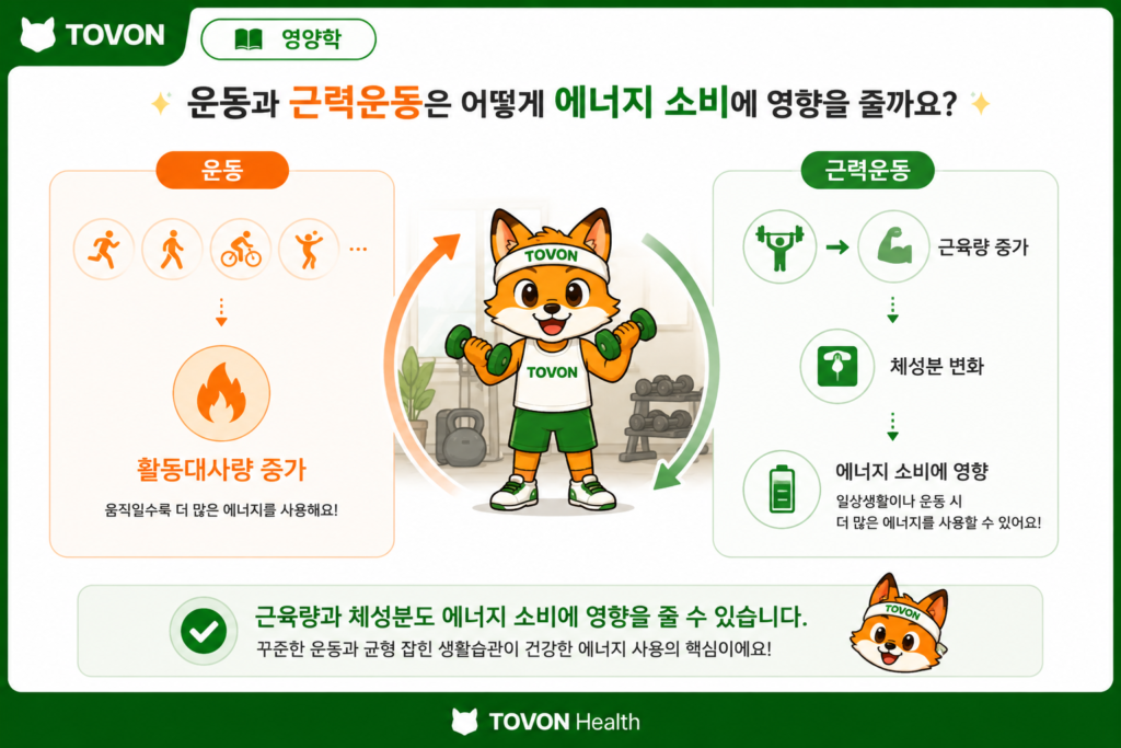 기초대사량과 활동대사량이란? 하루에 필요한 칼로리 계산하기 근육량과 신체활동이 에너지 소비에 미치는 영향을 설명하는 토번이