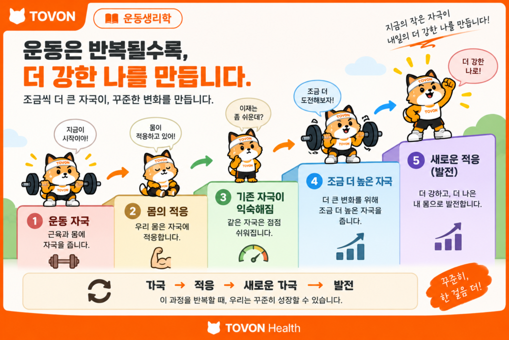 훈련 자극에 적응한 몸이 새로운 자극을 통해 발전하는 과정