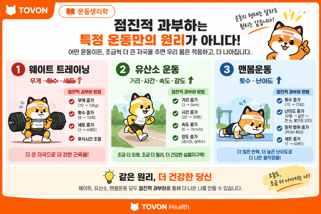 웨이트 유산소 맨몸운동에 적용되는 점진적 과부하