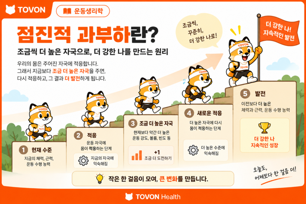 점진적 과부하를 계단을 한 칸씩 올라가는 과정으로 표현한 이미지
