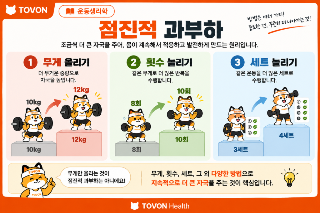 무게 횟수 세트로 점진적 과부하를 적용하는 방법