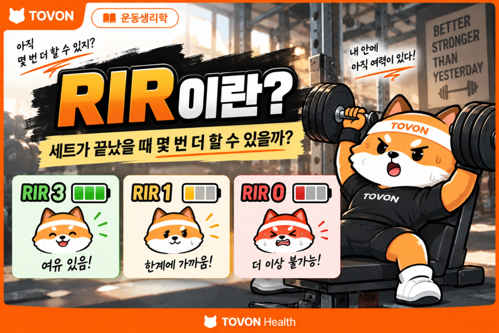 RIR을 배터리 잔량으로 표현해 웨이트 운동의 남은 반복 횟수를 보여주는 토번이