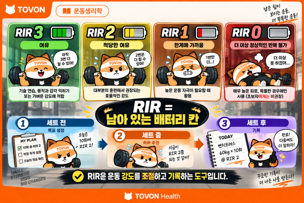 RIR의 개념과 RIR 0부터 3까지의 차이 및 운동 활용법을 한눈에 정리한 이미지