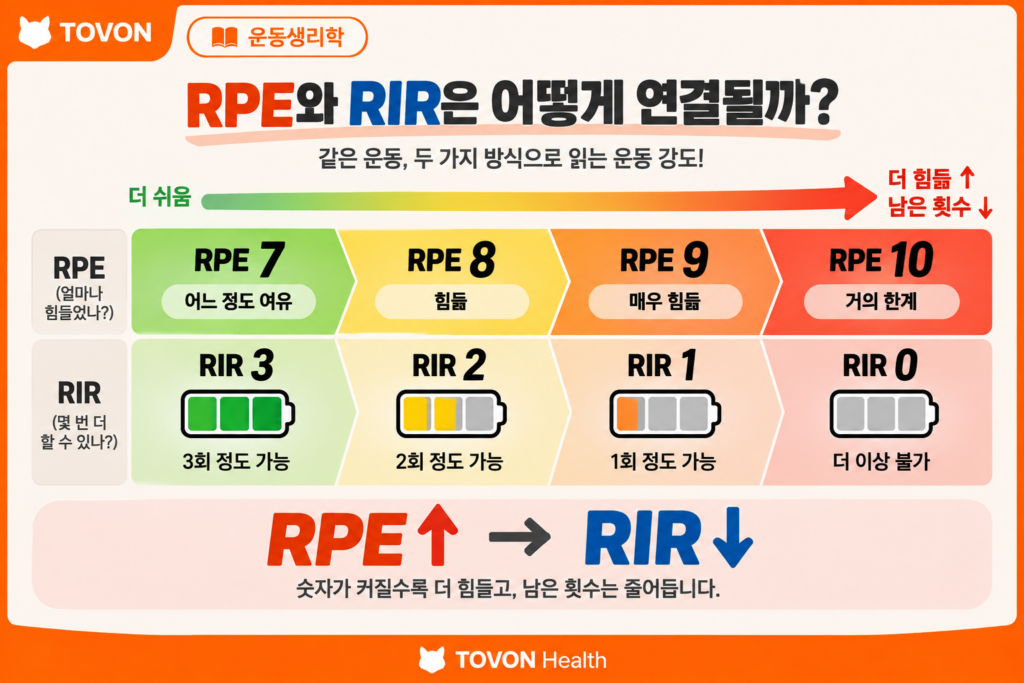 RPE와 RIR의 대응 관계를 보여주는 운동 강도 척도