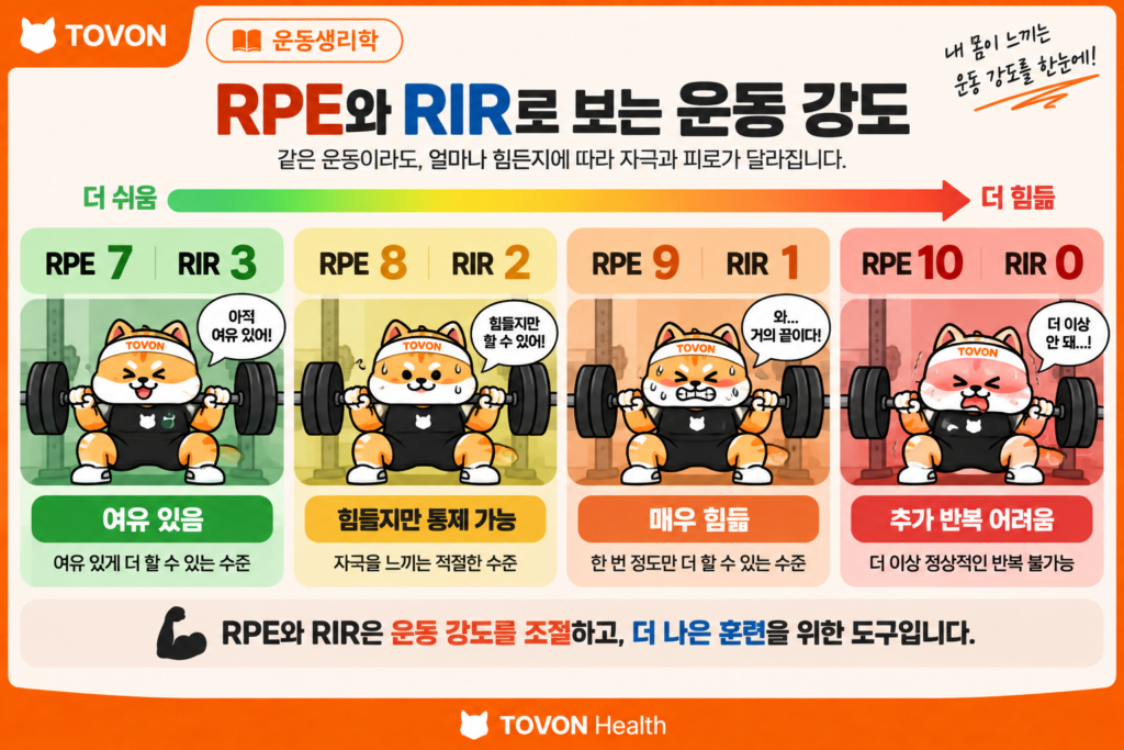 RPE와 RIR에 따른 운동 강도와 남은 반복 횟수