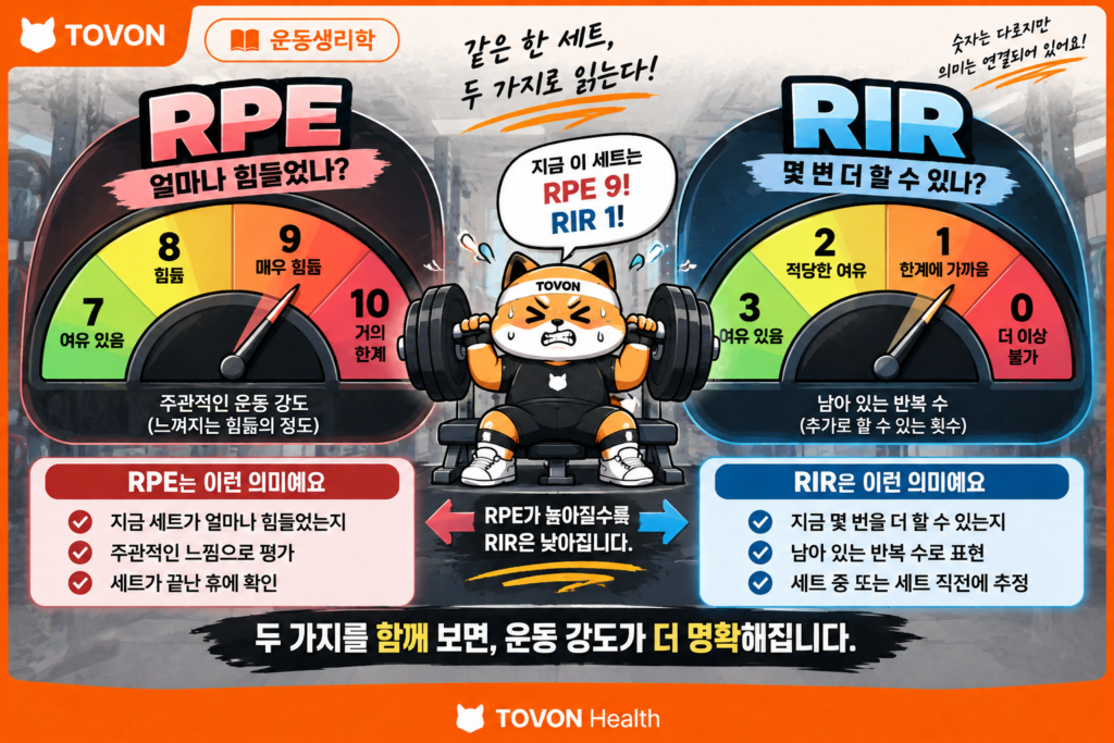 RPE와 RIR의 의미와 차이를 비교한 이미지
