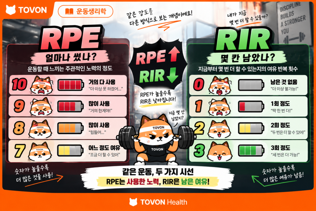 RPE와 RIR을 사용한 양과 남은 반복 횟수의 관계를 비교한 이미지