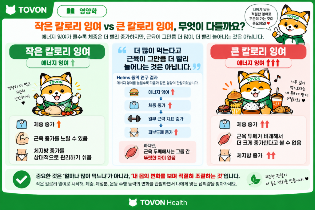 작은 칼로리 잉여와 큰 칼로리 잉여에 따른 근육과 체지방 변화를 비교한 이미지