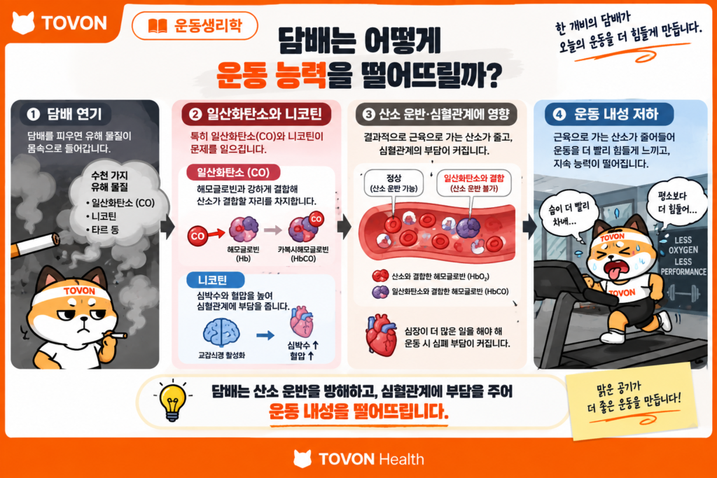 담배의 일산화탄소와 니코틴이 산소 운반과 심혈관계에 미치는 영향을 보여주는 이미지