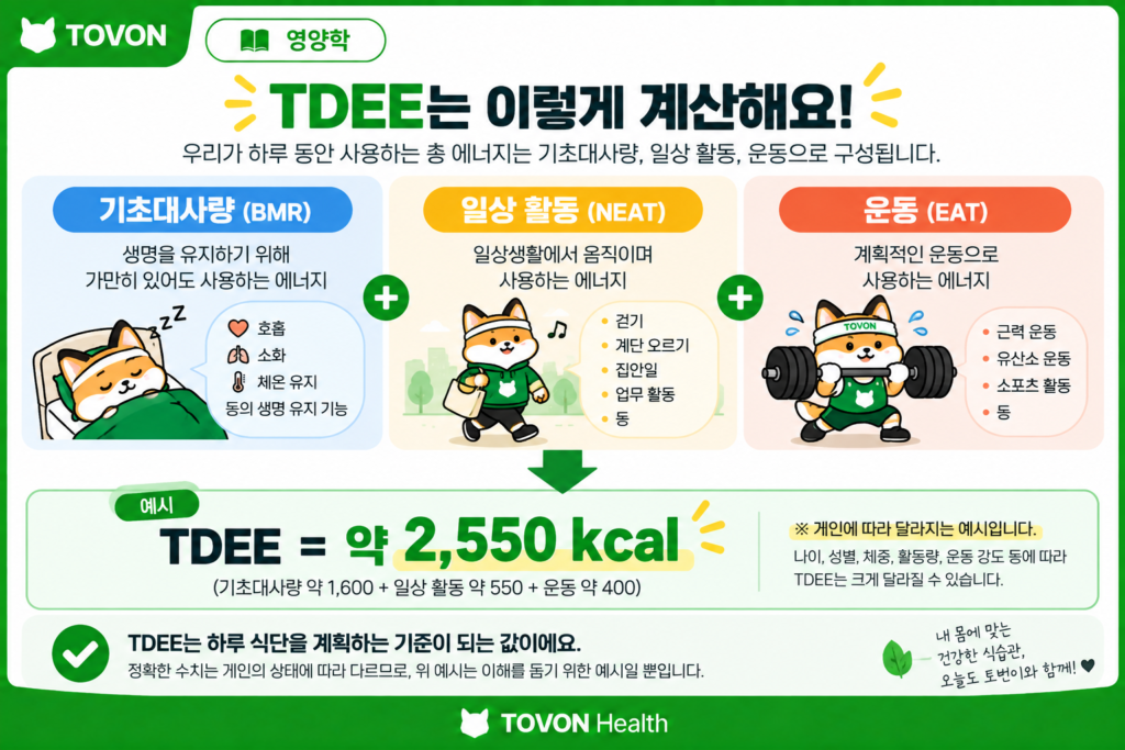 기초대사량과 활동량을 바탕으로 하루 총 에너지 소비량 TDEE를 계산하는 과정
